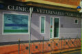 Clínica Veterinaria CostaBlanca Benidorm