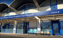 AniCura Marina Baixa Hospital Veterinario Benidorm